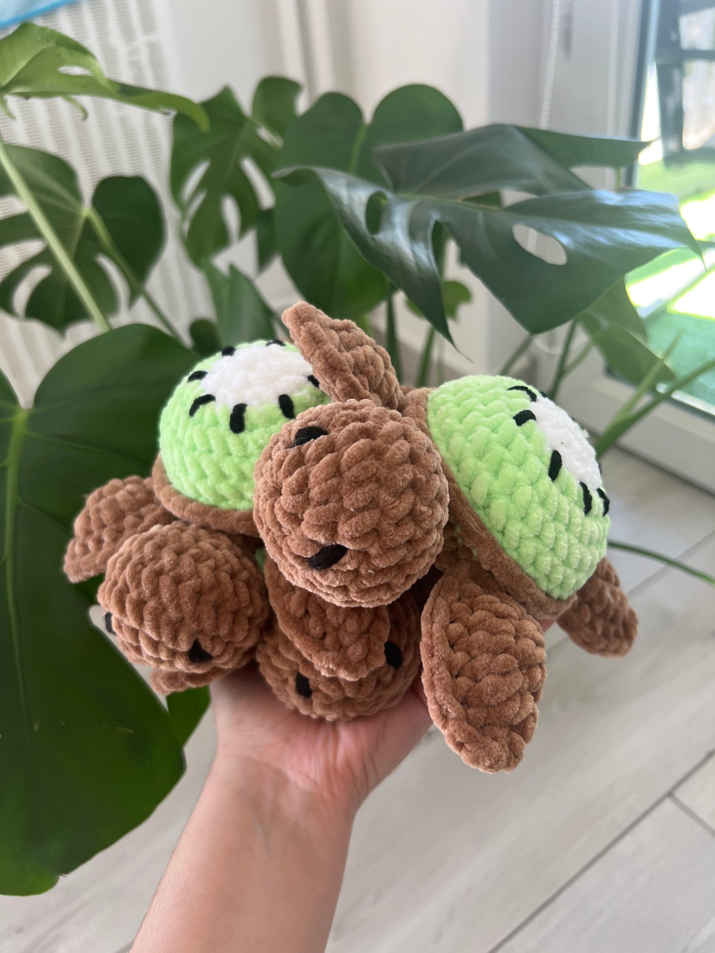 Petite tortue fruit