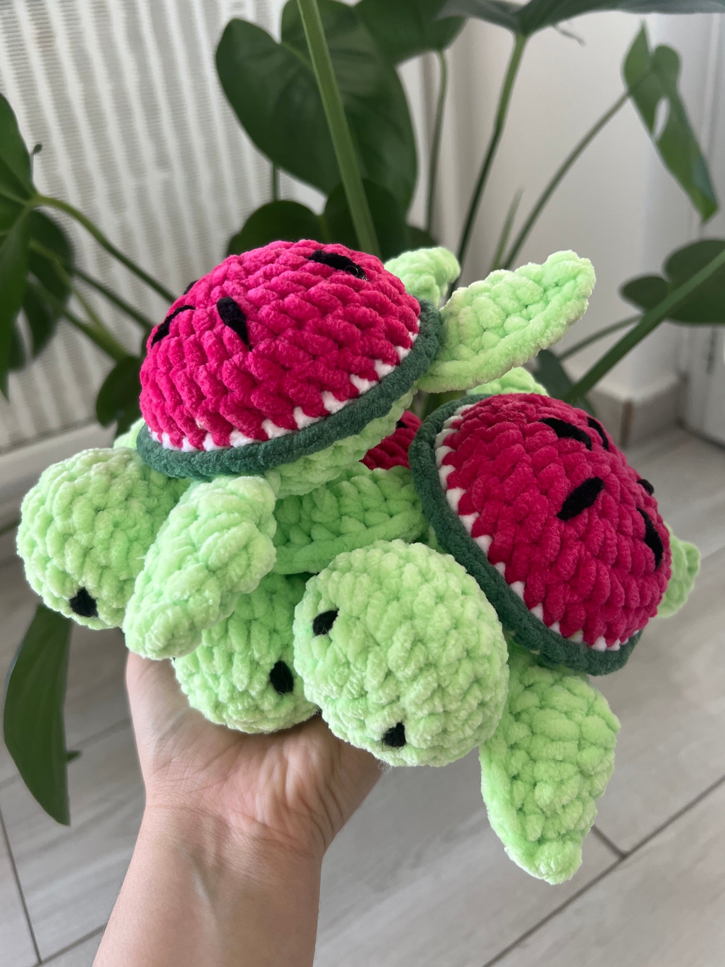 Petite tortue fruit