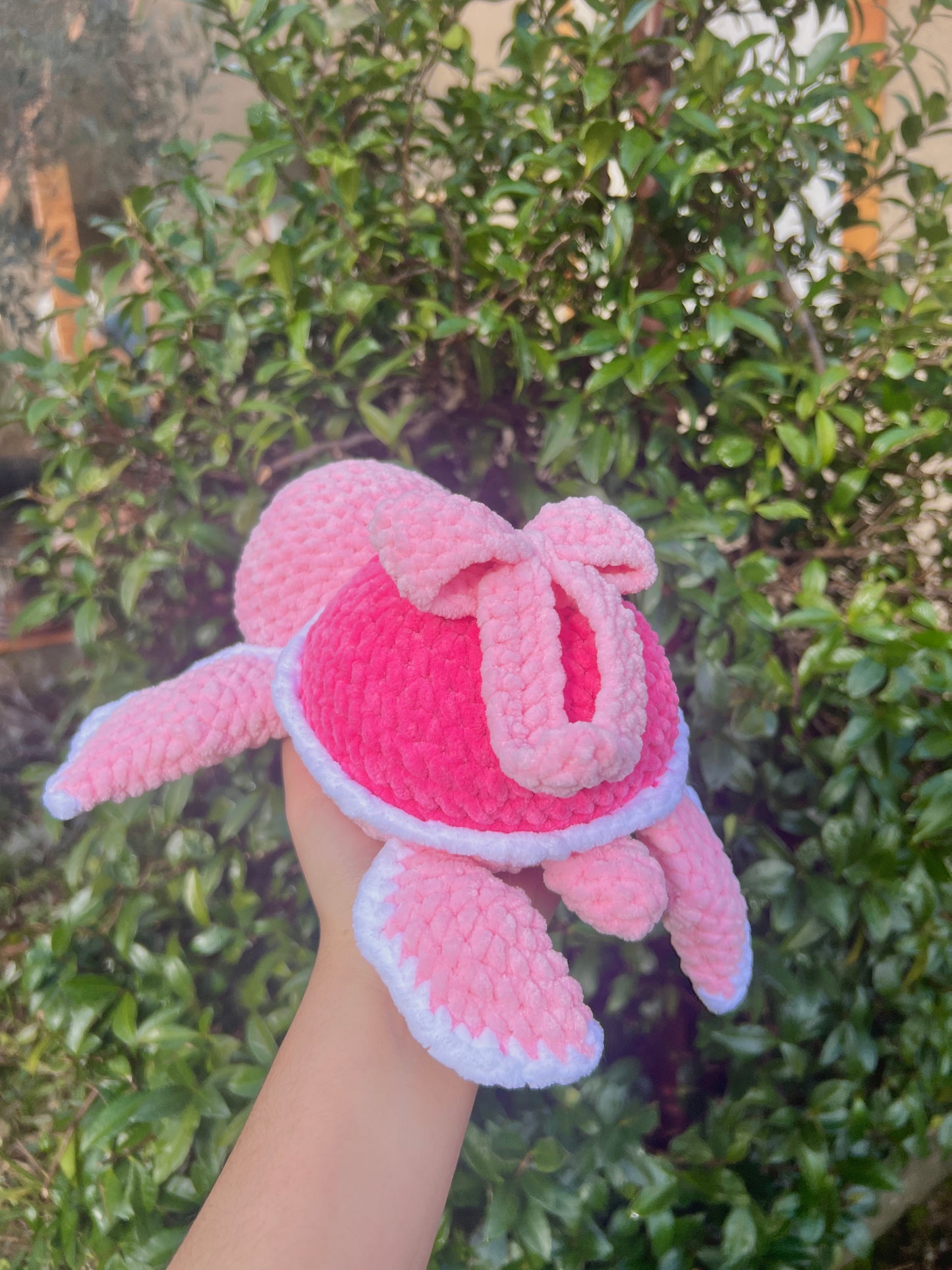 Tortue Coquette