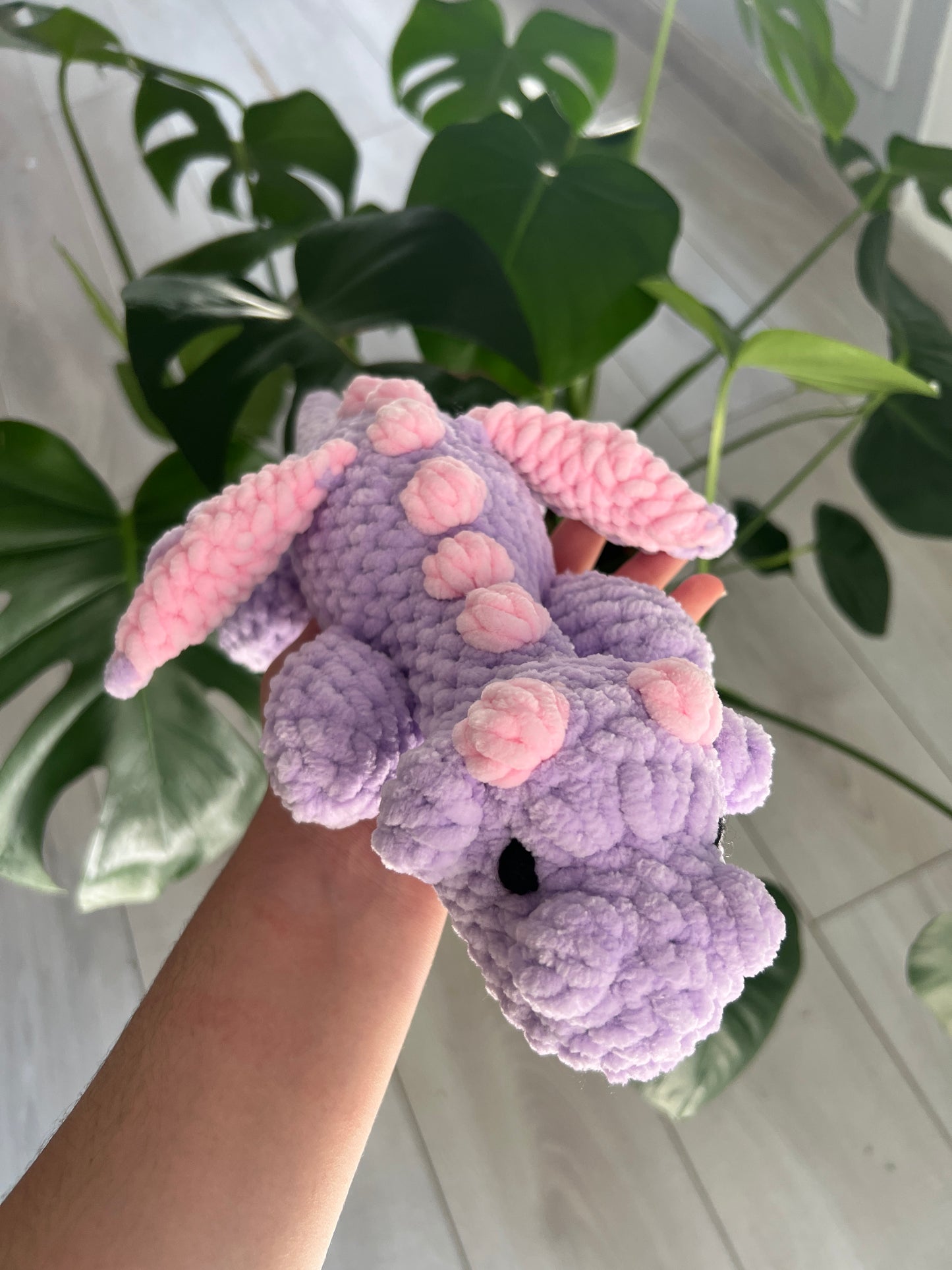 Petits dragons