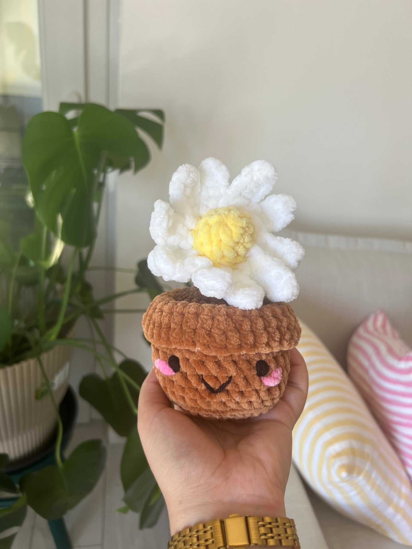 Marguerite en pot brun |DROP