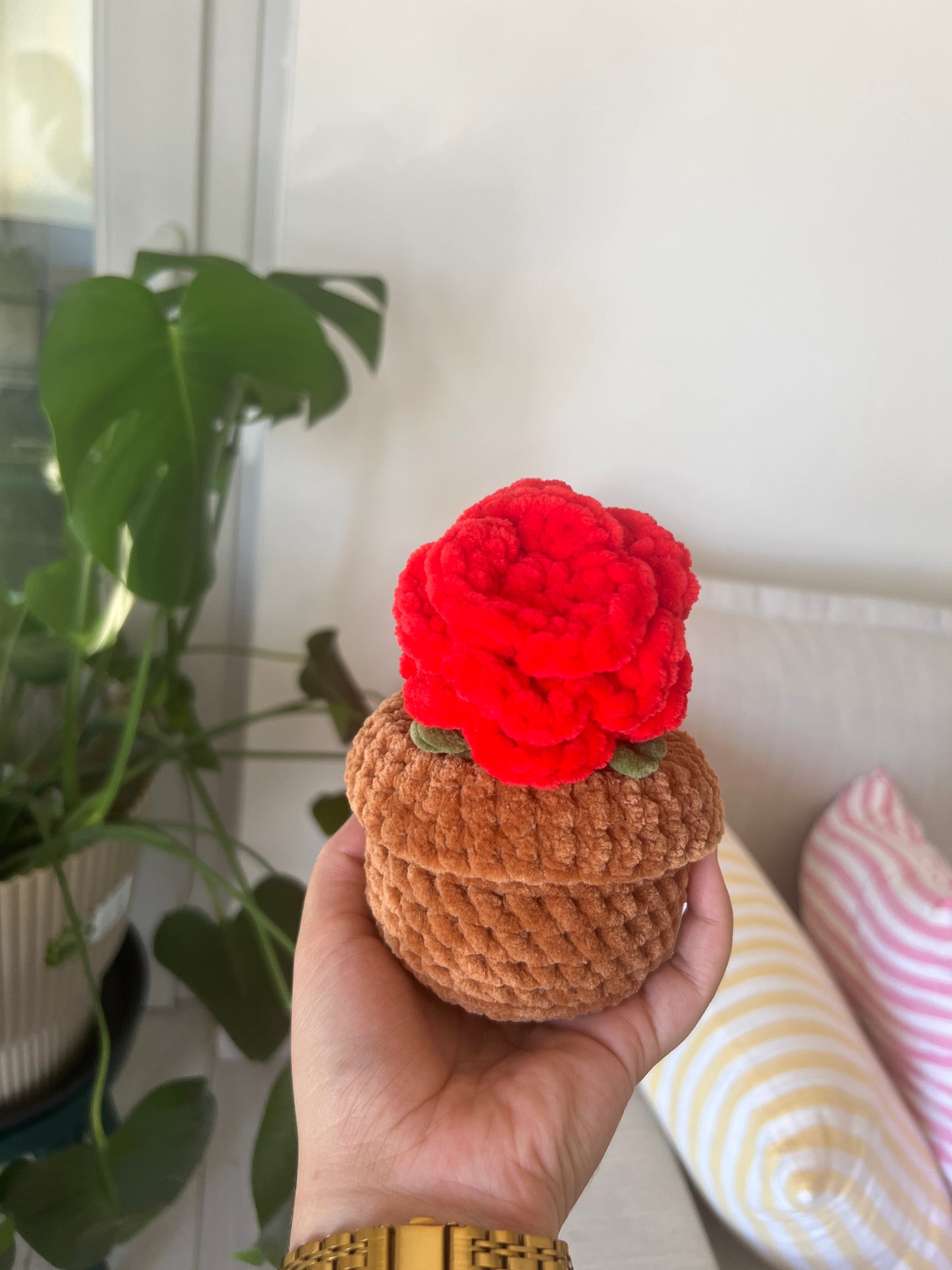 Rose en pot brun |DROP