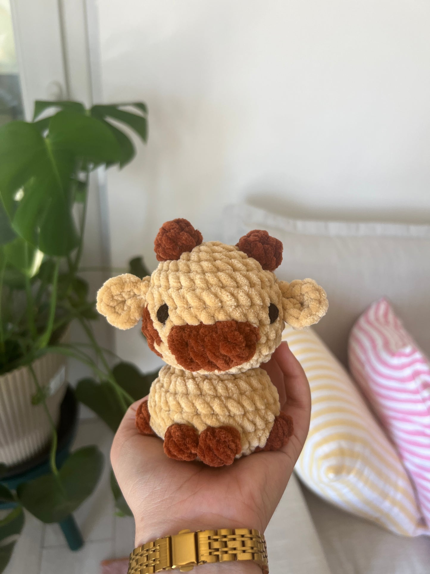 Vachounette brune |DROP