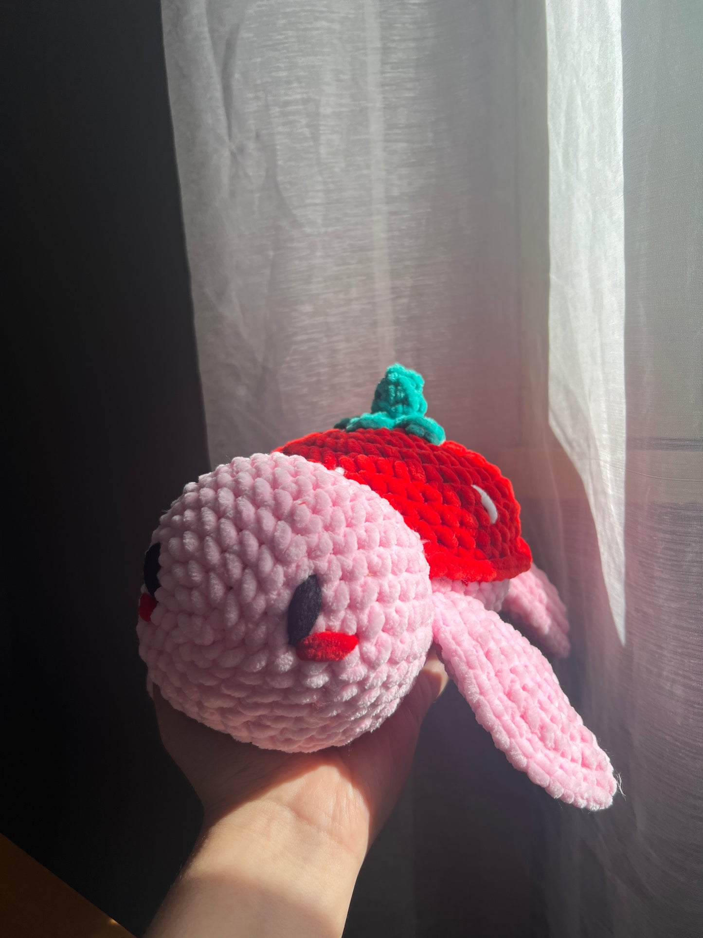 Tortue Fraise