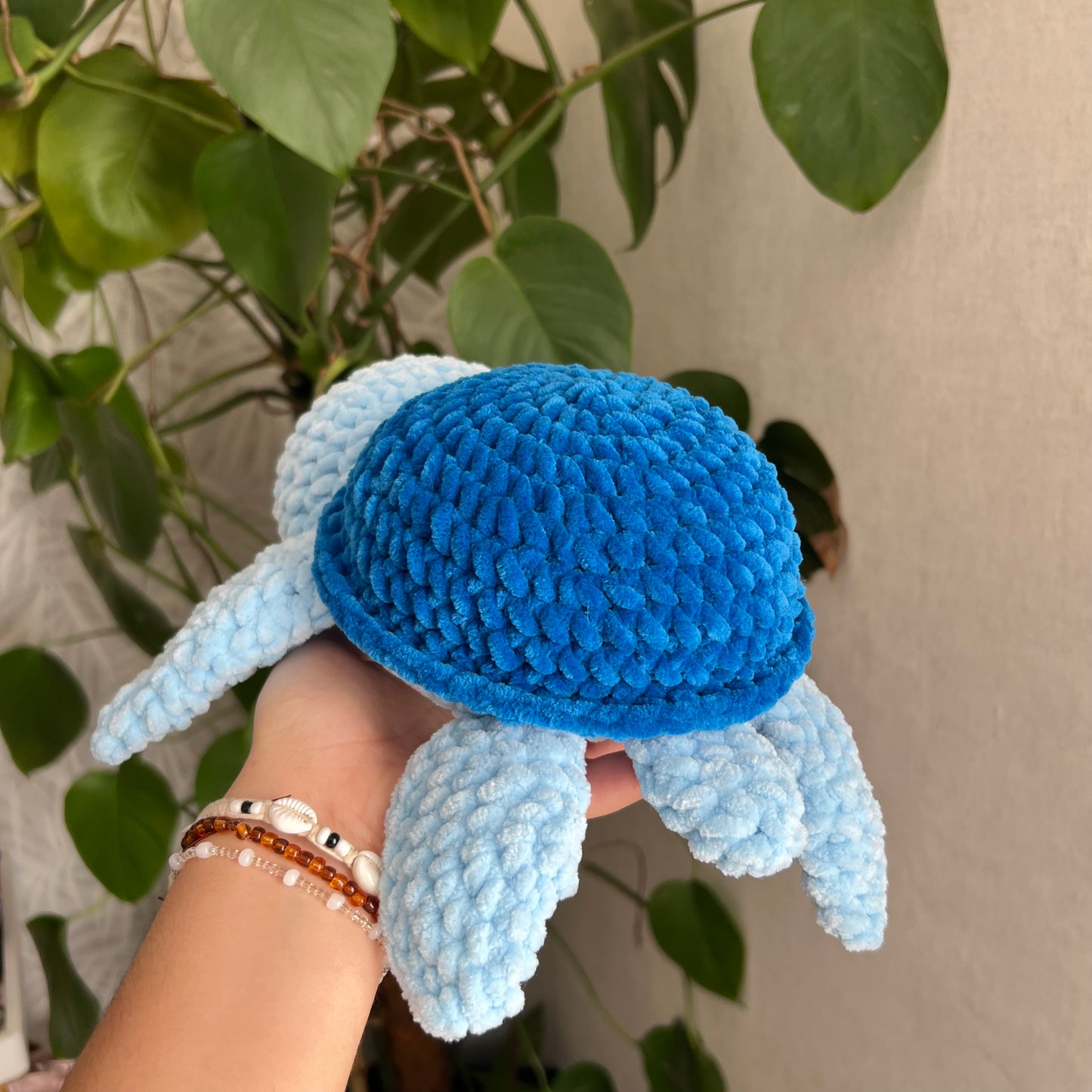 Tortue