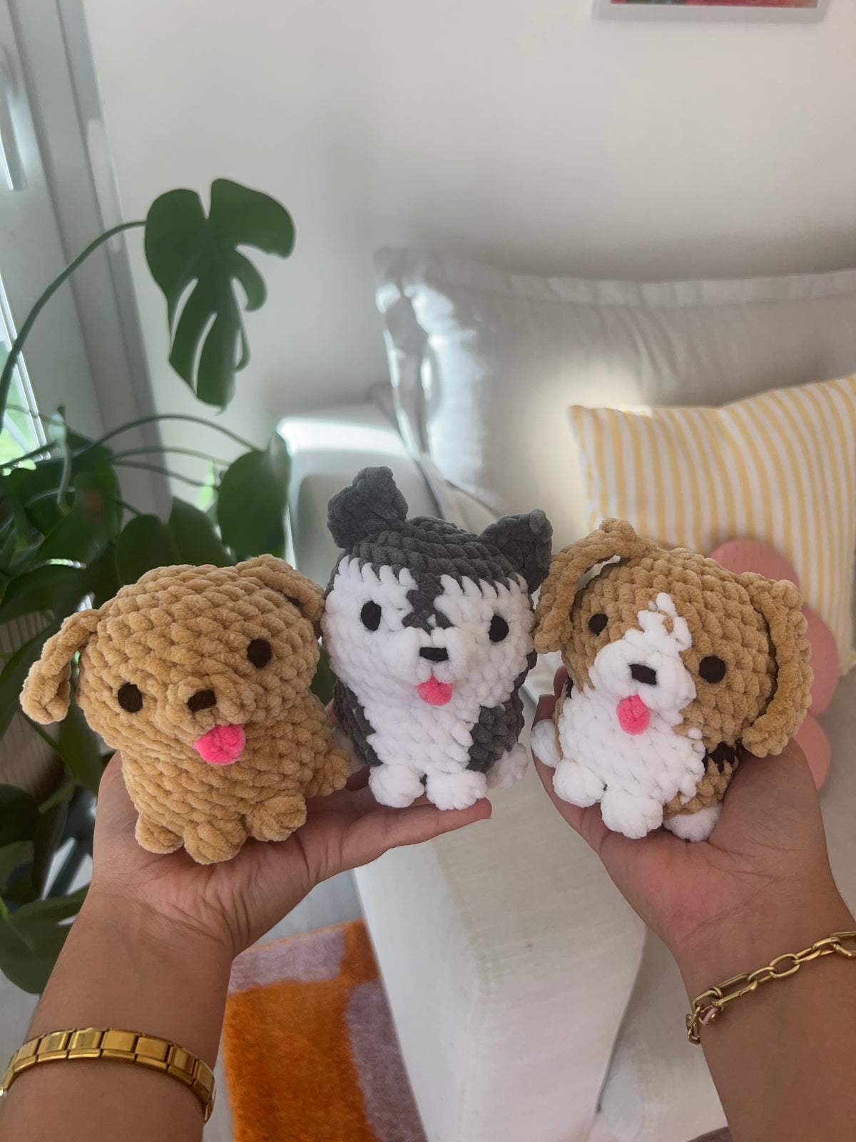 Petits chiots