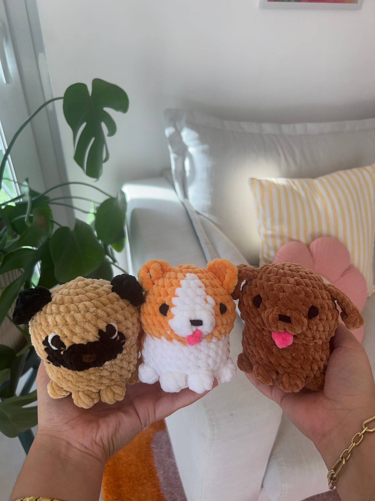 Petits chiots