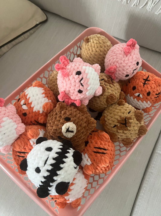 Petits animaux