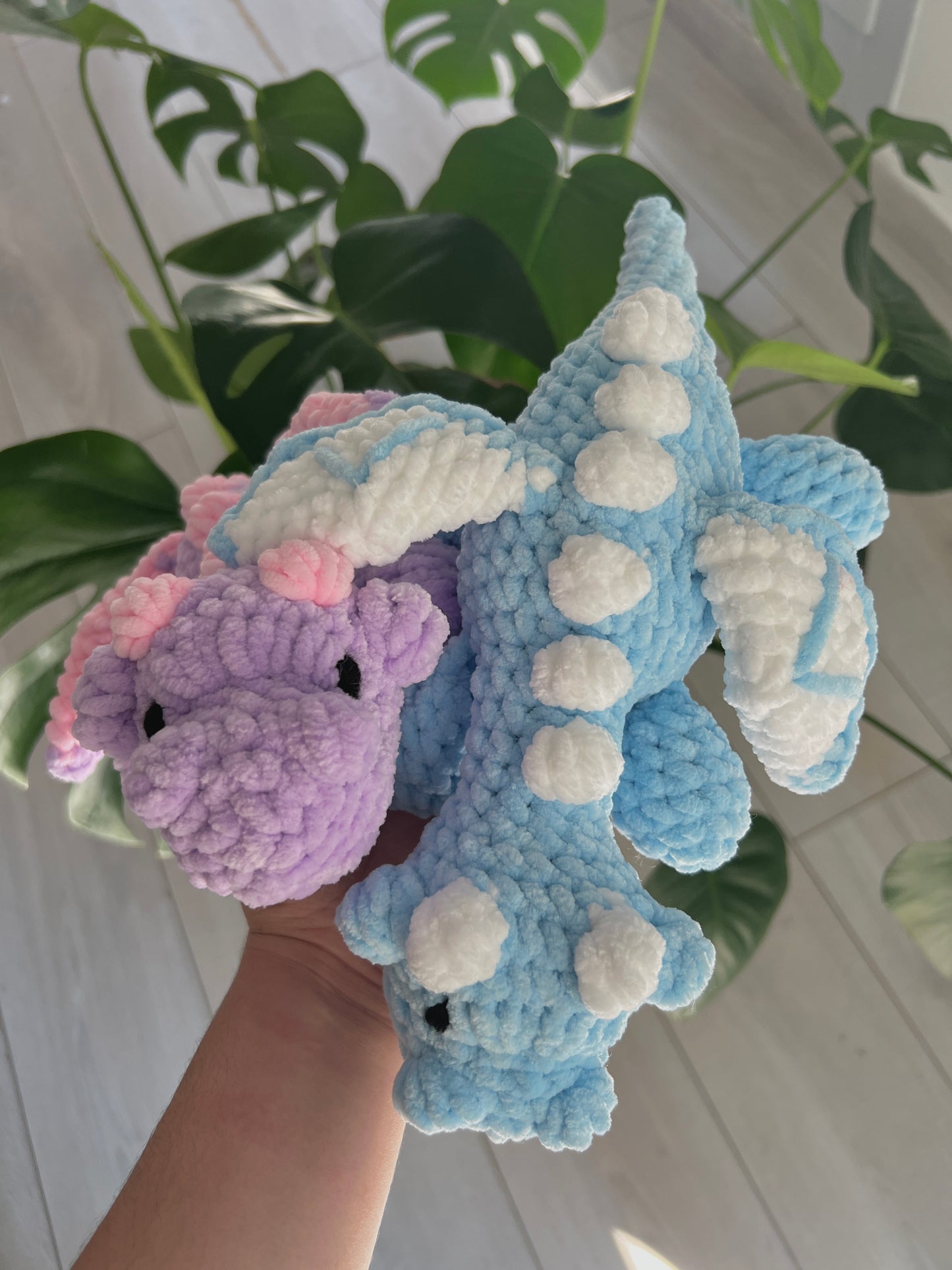 Petits dragons
