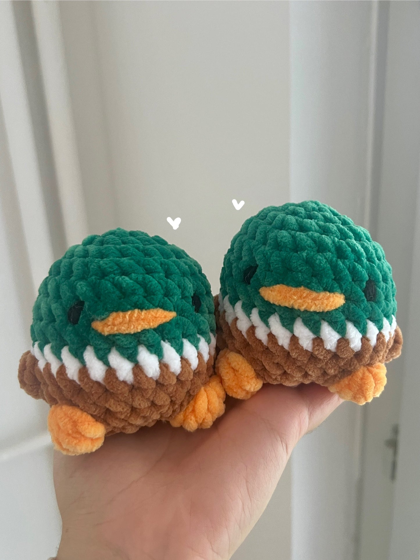 Petits animaux