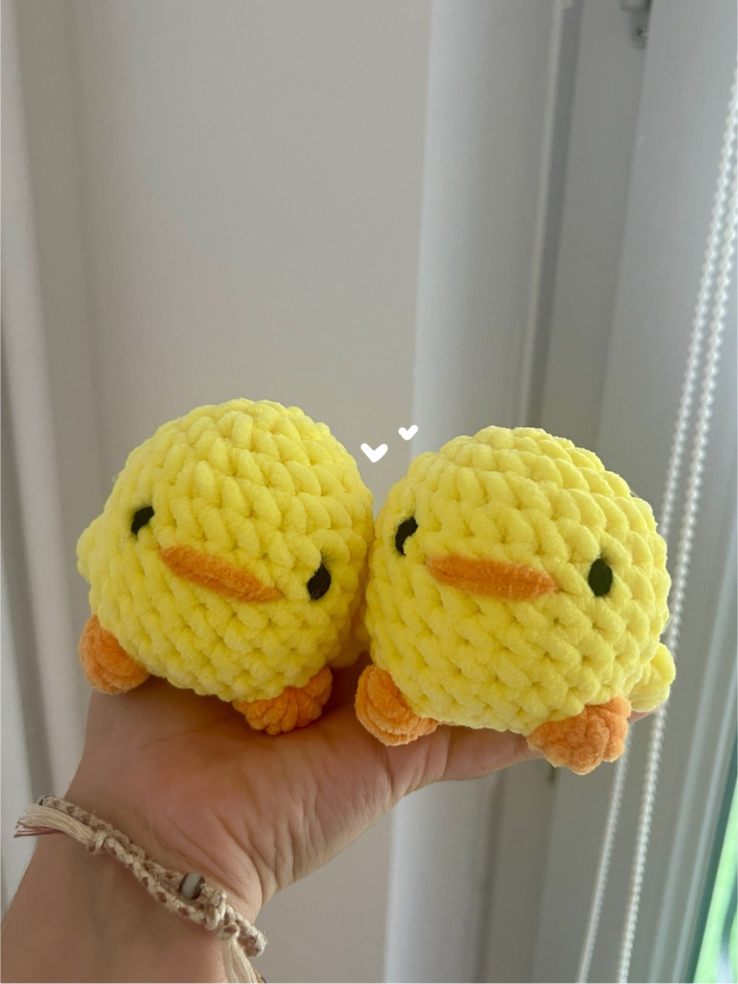 Petits animaux