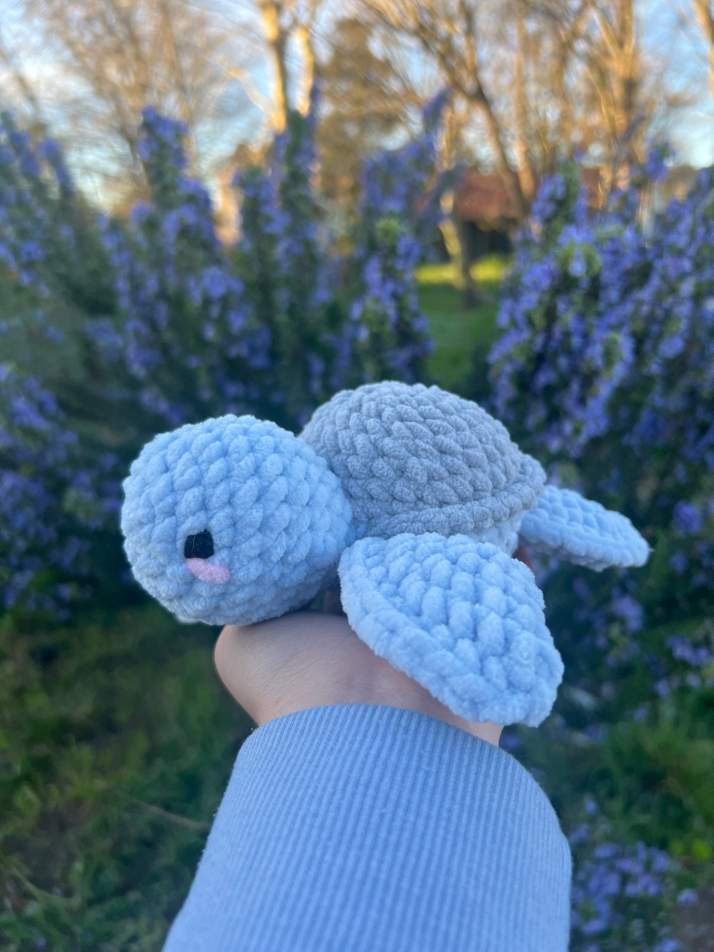 Petite Tortue