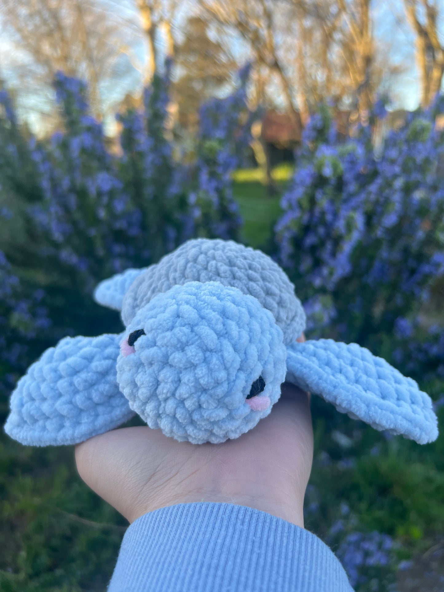 Petite Tortue