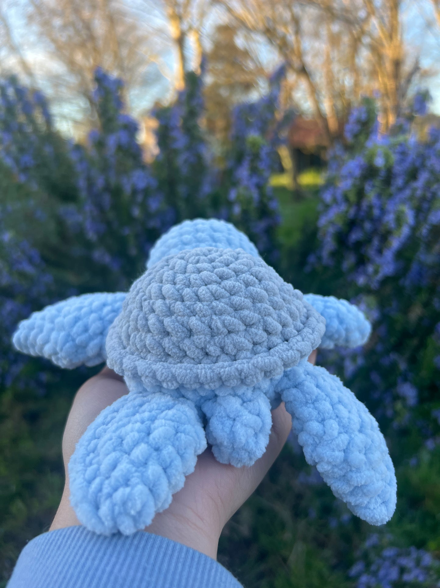 Petite Tortue