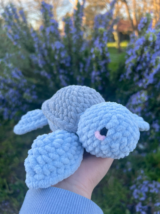 Petite Tortue