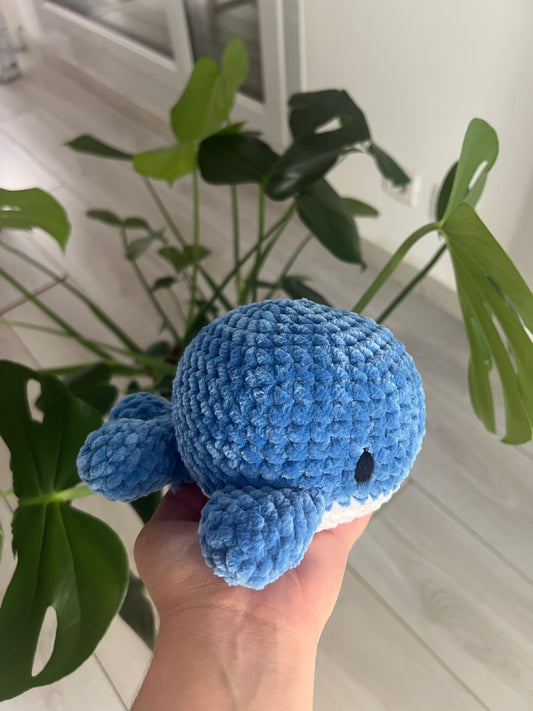 Baleine