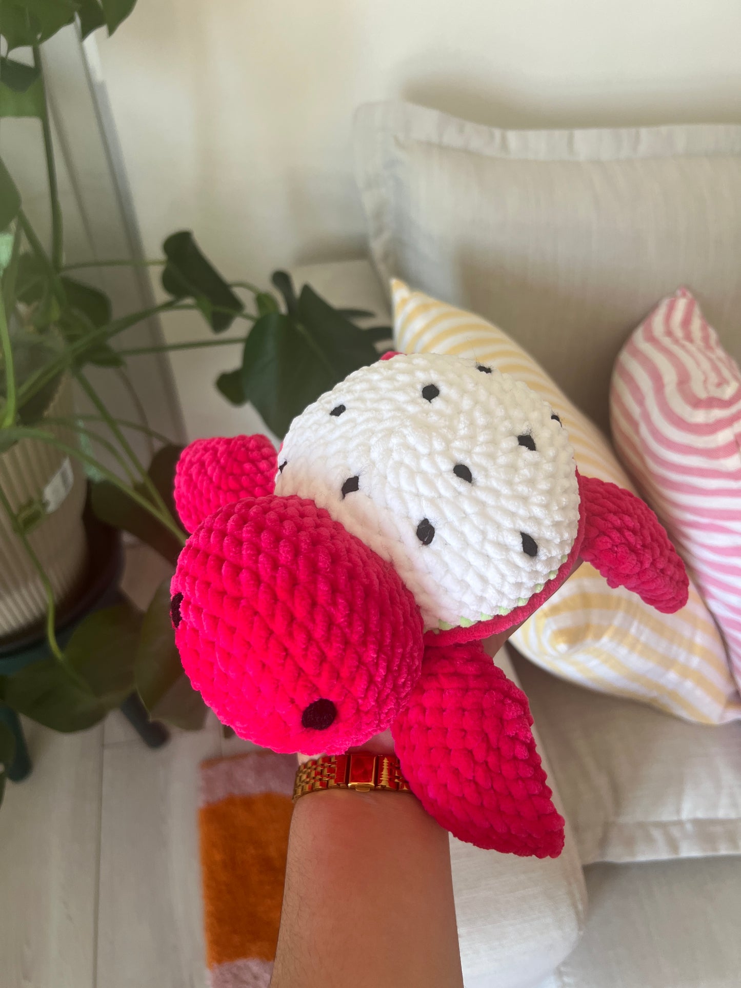 Tortue Fruit du dragon |DROP