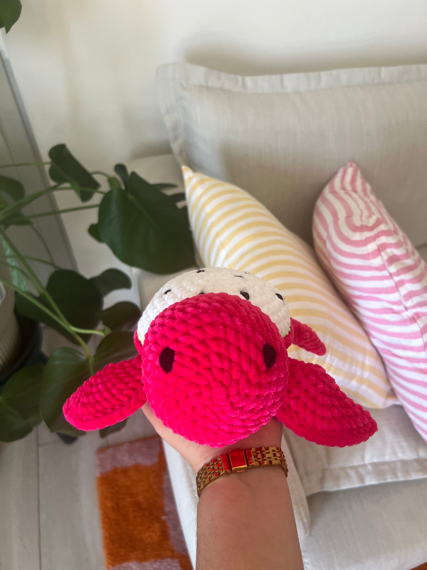 Tortue Fruit du dragon |DROP