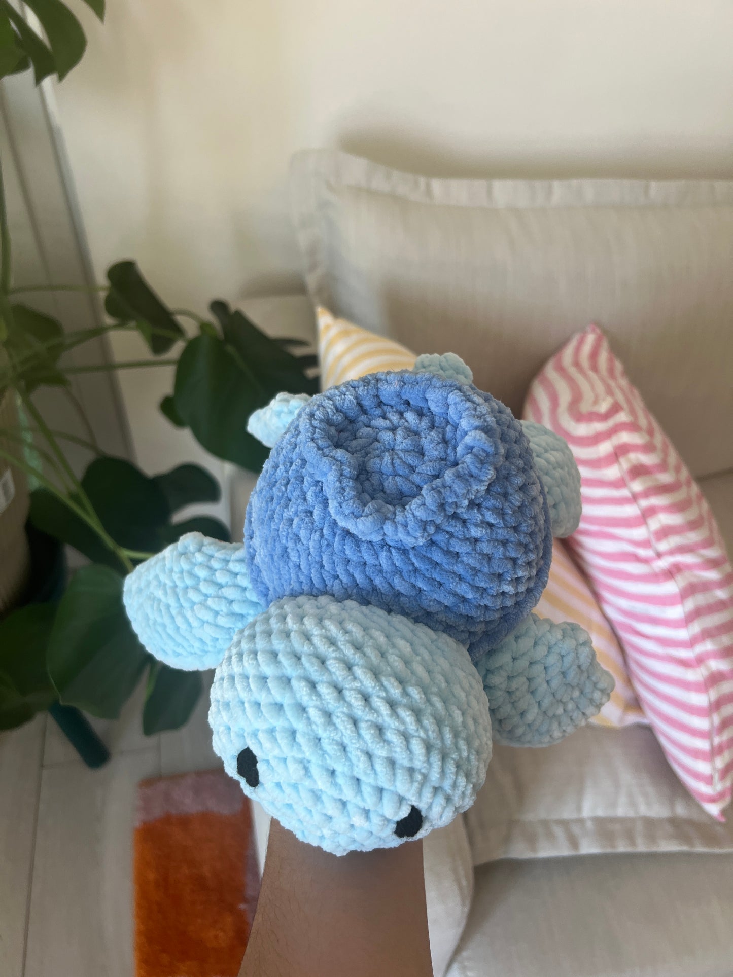 Tortue Myrtille |DROP