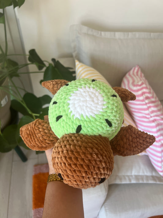 Tortue Kiwi |DROP