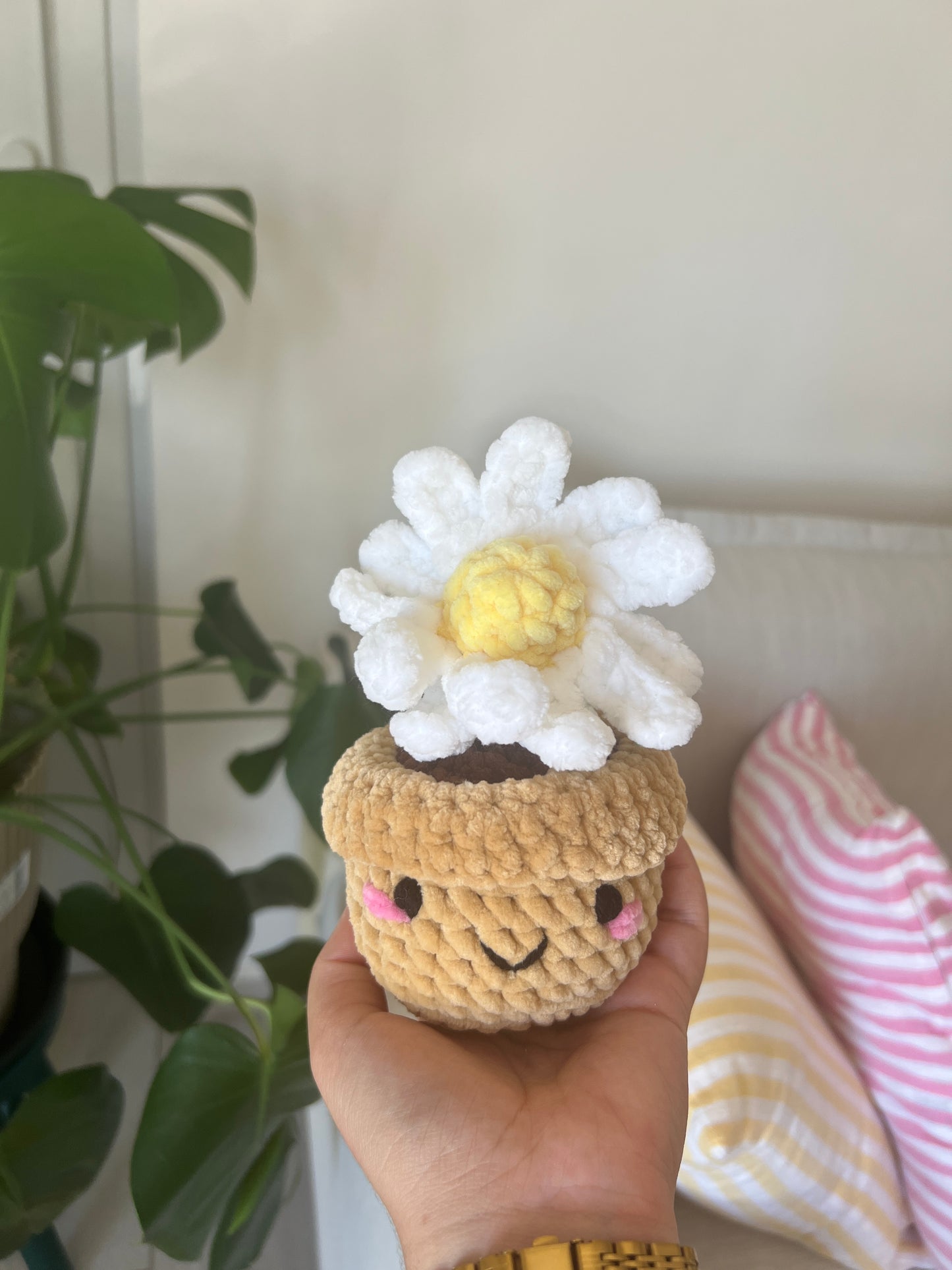Marguerite en pot caramel |DROP