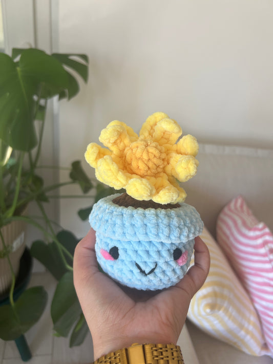 Pissenlit en pot bleu |DROP