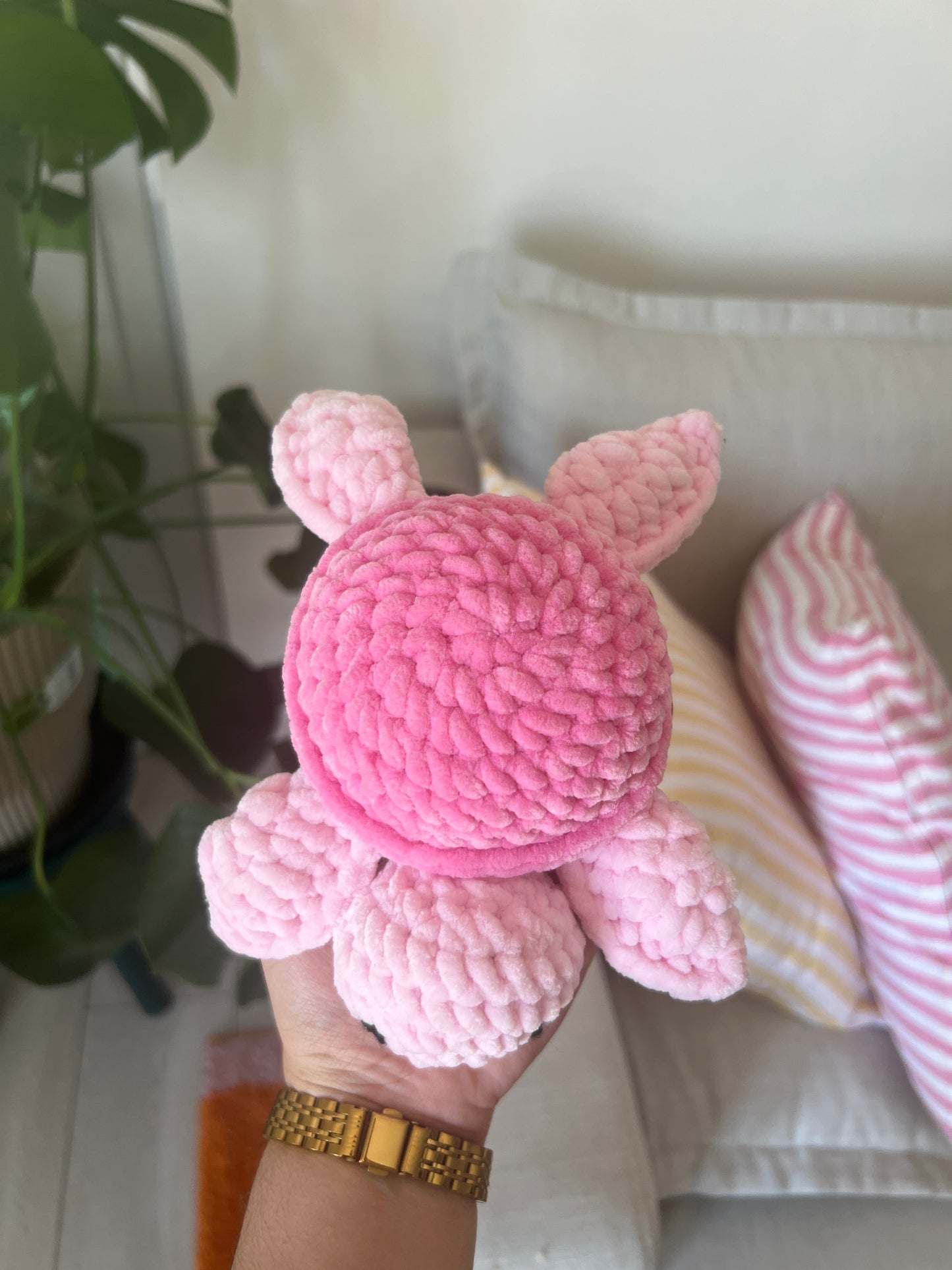 Petite tortue rose |DROP