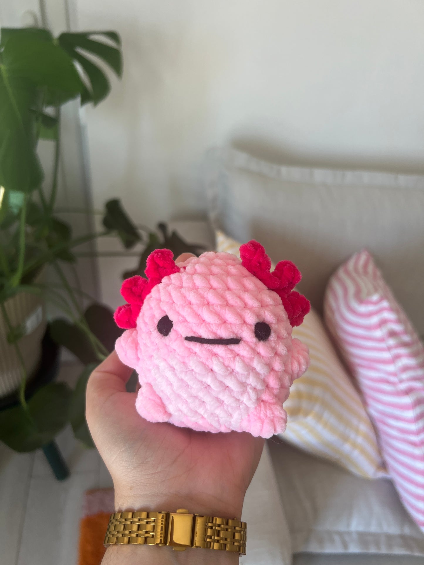 Petit Axolotl |DROP